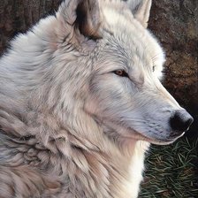 Cross stitch pattern: #2167135