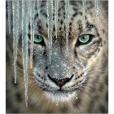 Cross stitch pattern: #2167232