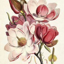 Cross stitch pattern: #2167611