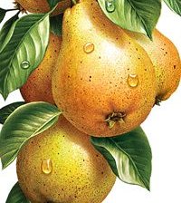 Cross stitch pattern: #2167934