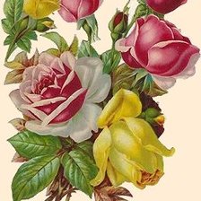 Cross stitch pattern: #2167954