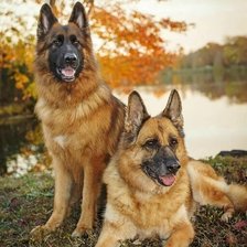 Cross stitch pattern: #2168152