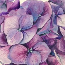 Cross stitch pattern: #2168267