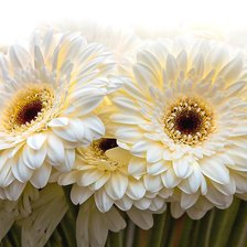 Cross stitch pattern: #2168394