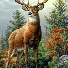 Cross stitch pattern: #2168402