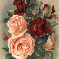 Cross stitch pattern: #2168543