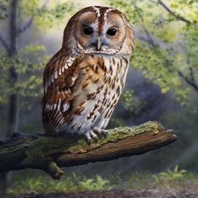 Cross stitch pattern: #2168576