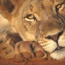 Cross stitch pattern: #2168963