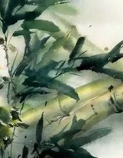 Cross stitch pattern: #2169010