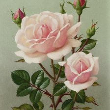 Cross stitch pattern: #2169330