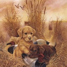 Cross stitch pattern: #2169357