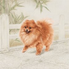 Cross stitch pattern: #2169377