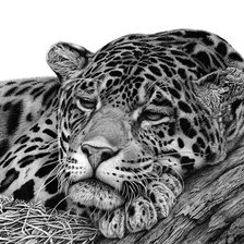 Cross stitch pattern: #2169912