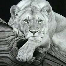 Cross stitch pattern: #2169932