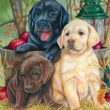 Cross stitch pattern: #2170215