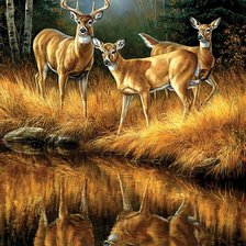 Cross stitch pattern: #2170231