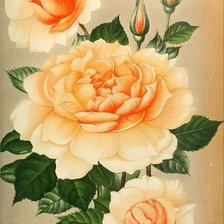 Cross stitch pattern: #2170235