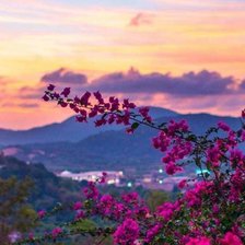 Cross stitch pattern: #2171049