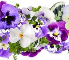 Cross stitch pattern: #2171837
