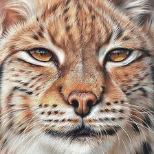 Cross stitch pattern: #2172184