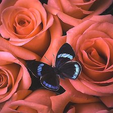 Cross stitch pattern: #2172225