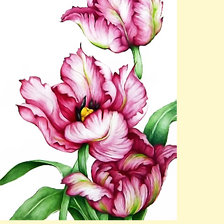 Cross stitch pattern: #2172296