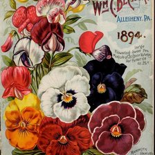 Cross stitch pattern: #2172594