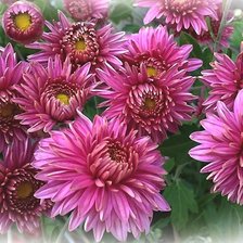 Cross stitch pattern: #2172757