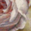 Preview of cross stitch pattern: #2173010