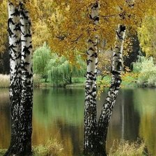 Cross stitch pattern: #2173181