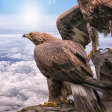 Cross stitch pattern: #2173557