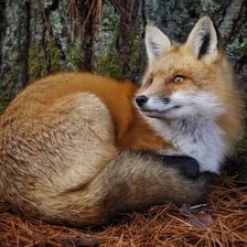 Cross stitch pattern: #2174784