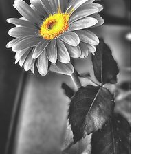 Cross stitch pattern: #2174952