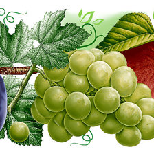 Cross stitch pattern: #2175327