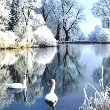 Cross stitch pattern: #2176537