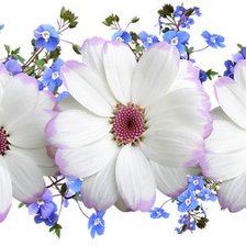 Cross stitch pattern: #2176704