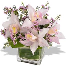 Cross stitch pattern: #2178488