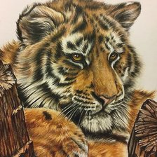 Cross stitch pattern: #2178665