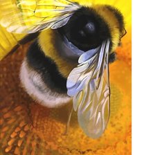 Cross stitch pattern: #2179411