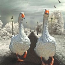 Cross stitch pattern: #2179897