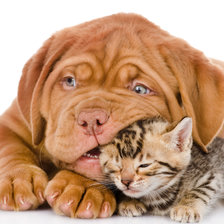 Cross stitch pattern: #2182789