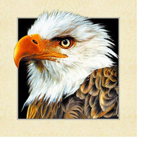 Cross stitch pattern: #2182956