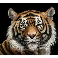 Cross stitch pattern: #2183903