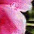 Preview of cross stitch pattern: #2185663