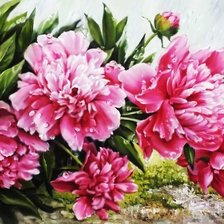 Cross stitch pattern: #2185663