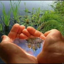 Cross stitch pattern: #2186664