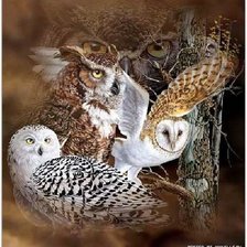 Cross stitch pattern: #2190125