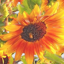 Cross stitch pattern: #2190727