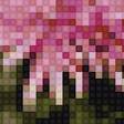 Preview of cross stitch pattern: #2191483