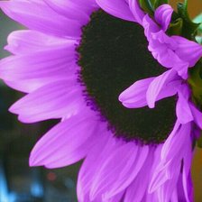 Cross stitch pattern: #2192175